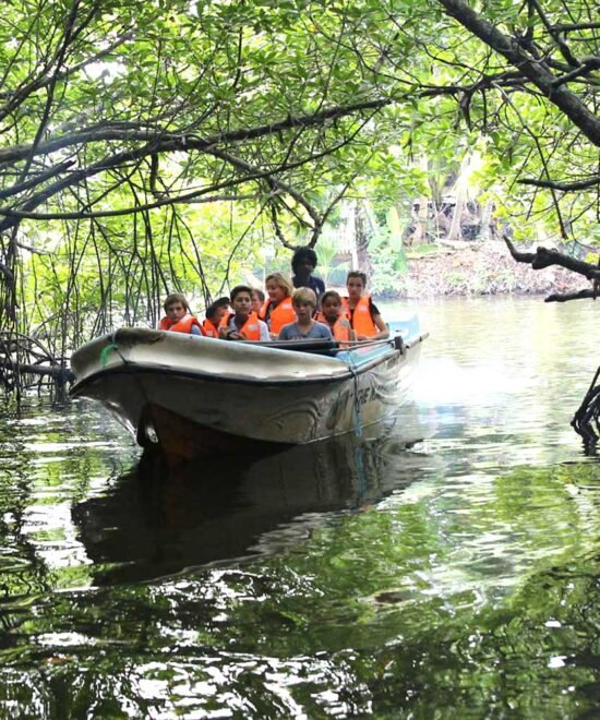Bentota or Madu River Boat Safari – 1 Day Tour