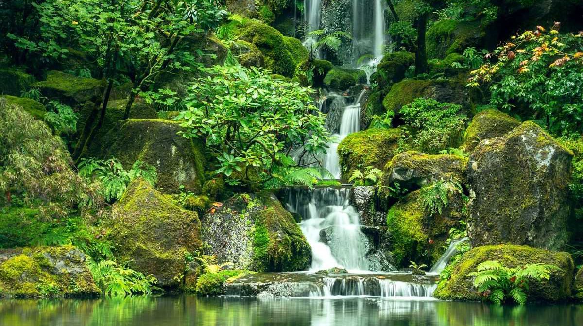 Nature’s Hidden Treasures