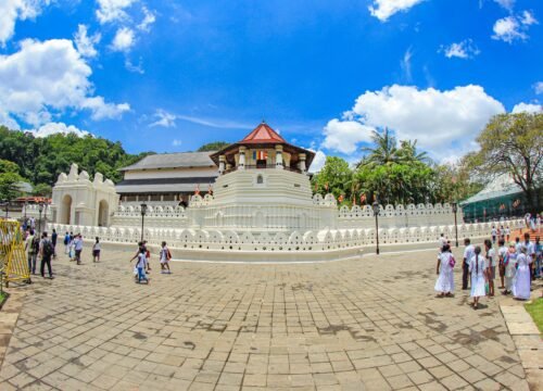 Pinnawala Elephant Orphanage, Kandy – 1 Day Tour