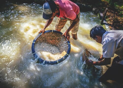 Moonstone Mine & Cinnamon Plantation and Factory – 1 Day Tour
