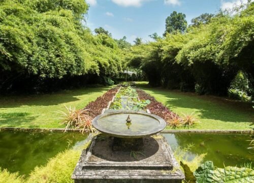 Brief Garden, by Bevis Bawa – Short Trip