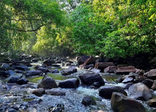 Polgampola Waterfall (Thambadola Ella) - Short Trip